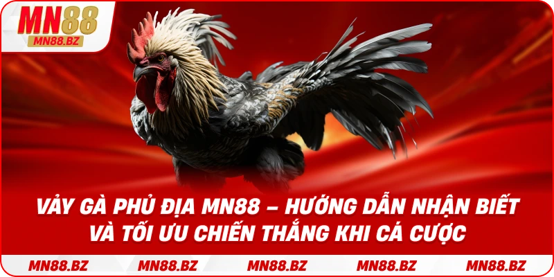 Vảy gà phủ địa MN88 – hướng dẫn nhận biết và tối ưu chiến thắng khi cá cược